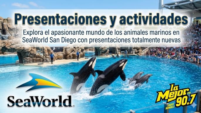 ¡Nuevas actividades en SeaWorld San Diego!